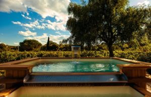 piscine d'une maison bois familiale