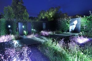 piscine d'une maison bois familiale