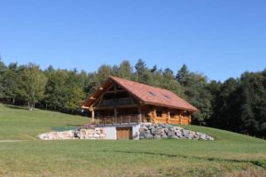 environnement d'une maison bois familiale