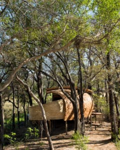 piscine d'une pavillon semi-ouvert en pleine nature
