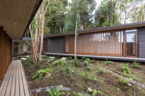 terrasse d'une maison bois dans la nature