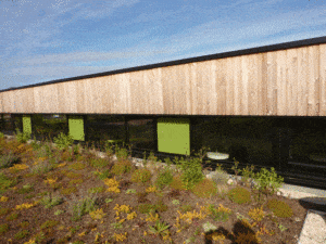 maison bois moderne et écologique