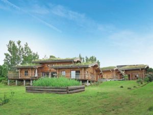 jolie maison en bois adaptée à la nature