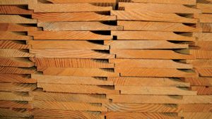 bardage d'une maison bois classique avec jardin