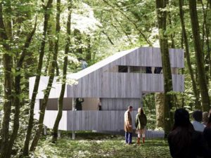 Festival de la forêt et du bois