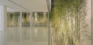 aménagement intérieur d'une maison bois