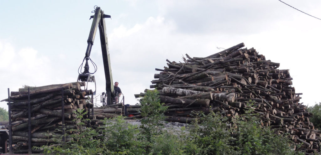Entreprises filière bois