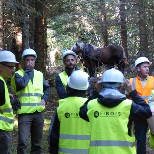 L'événement vis ma vie de bûcheron pour découvrir les métiers forestiers © FiboisAURA