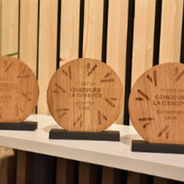 Concours La Canopée Lyon ,projets bois-forêt