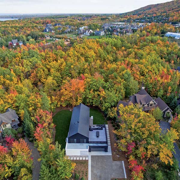 chalet en bois au Canada dans le millieu de la fôret
