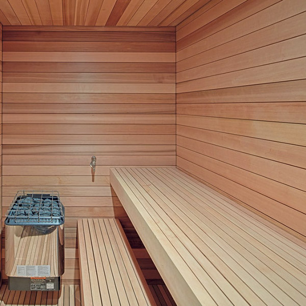 sauna finlandais en bois dans maison bois avec garage et jardin