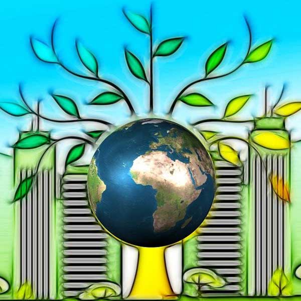 RE2020 batiment ville vert ecologie bois