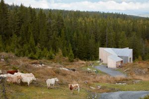 maison bois en Norvège
