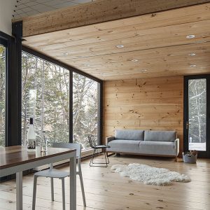 design d'intérieur d'une salon en bois