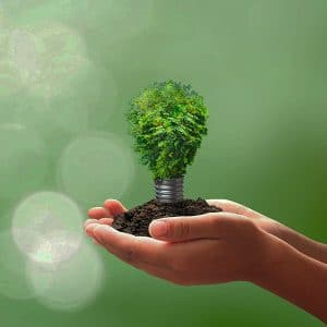 l'avenir des arbres et du monde entre nos mains