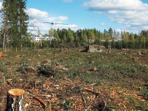 Construire une maison bois participe-t-il à la déforestation ? © Pixabay