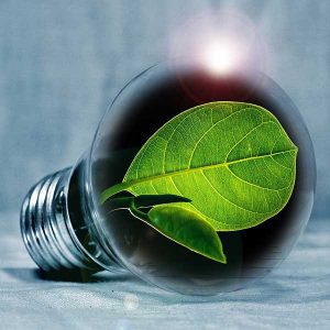Innovation sous la canopée © PIRO4D - Pixabay