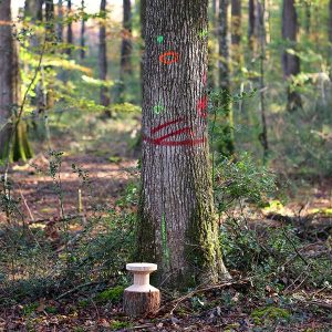 Un tabouret bois design caché dans la forêt de Bercé © Studio 5•5