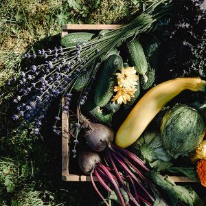 Les carrés potager sont des aménagements de jardin très à la mode