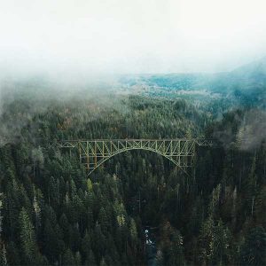 Gestion d'actifs forestiers : Forestry se rapproche d'Everwood Photo de Aleksey Kuprikov provenant de Pexels