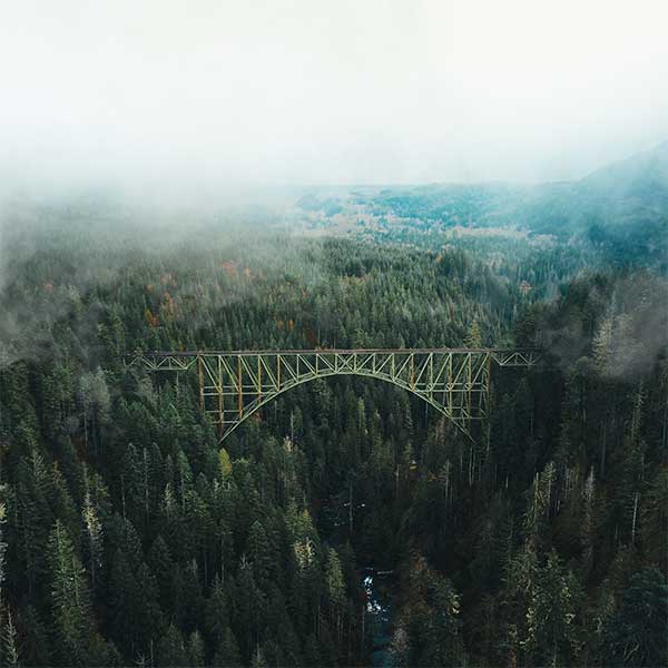Gestion d'actifs forestiers : Forestry se rapproche d'Everwood Photo de Aleksey Kuprikov provenant de Pexels