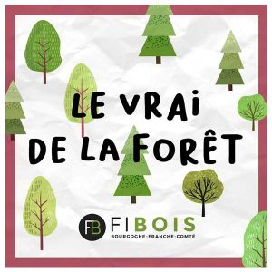 La semaine des métiers du bois et des forêts est l'occasion de tordre le cou aux idées reçues