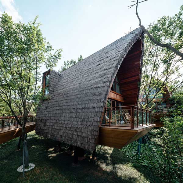 Une cabane en bois avec un toit en chaume artificiel © Runzi Zhu