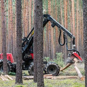 La mécanisation et la coupe des arbres en forêt sont souvent mal perçues © Pixabay