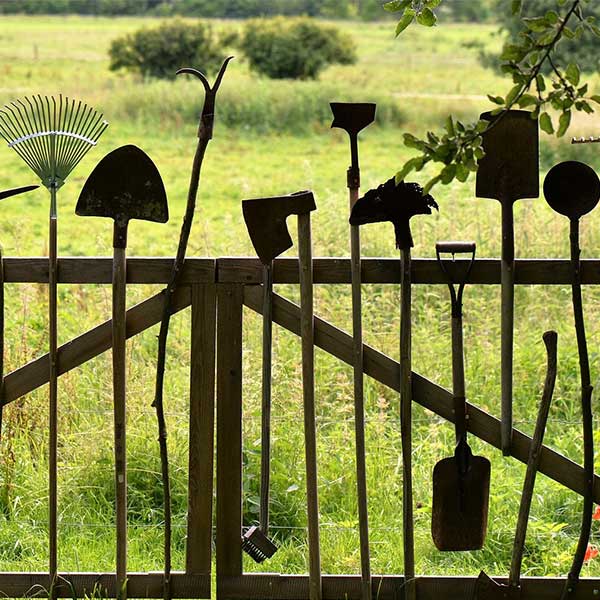 Le rayon jardin des grandes surfaces de bricolage attire  toujours © Pixabay