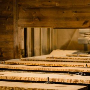 L'usine de production de Pin maritime de Sogy Bois dans les Landes - groupe Abso Bois