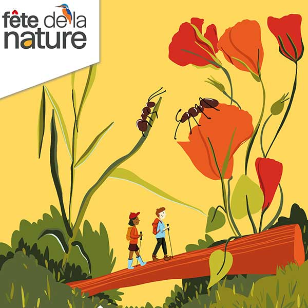 L'affiche de la fête de la nature pour profiter de sorties en pleine nature