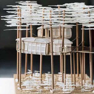 Projet Cohabiter avec les arbres © Concours Archibois 2022