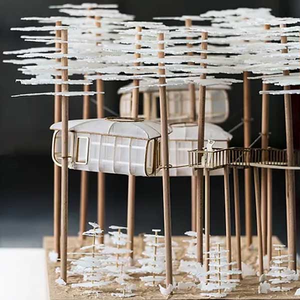 Projet Cohabiter avec les arbres © Concours Archibois 2022