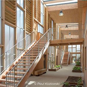 Pop-Acte - Architecture Bois