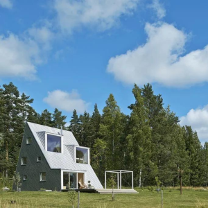 Cabane dans les arbres