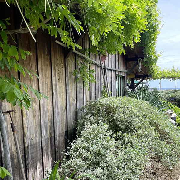 decapant pour bois architecture bois