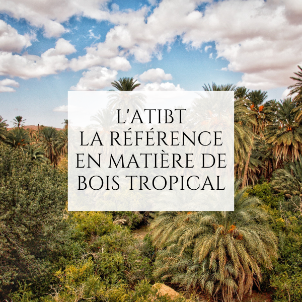 Atibt LA RÉFÉRENCE EN MATIÈRE DE BOIS TROPICAL