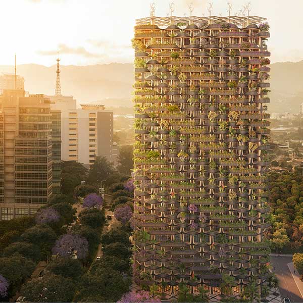 Rainbow Tree - Cebu City - Philippines - Vincent Caillebaut Architectures - Eucalyptus Arc-En-Ciel - panneaux solaires - Shou-Sugi-Ban