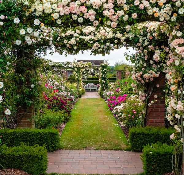 jardin anglais