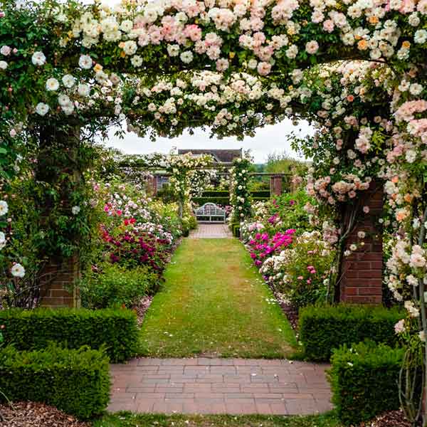 jardin anglais