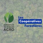 Bordeaux Sciences Agro et l’UCFF forment les ingénieurs forestiers de demain