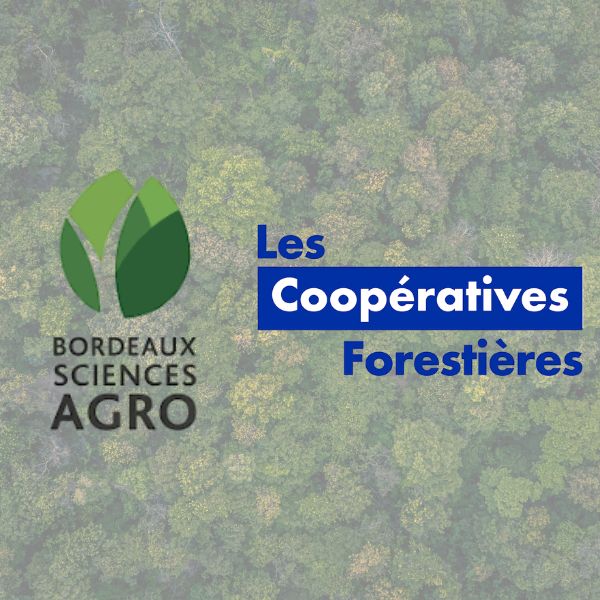 Bordeaux Sciences Agro et l’UCFF forment les ingénieurs forestiers de demain