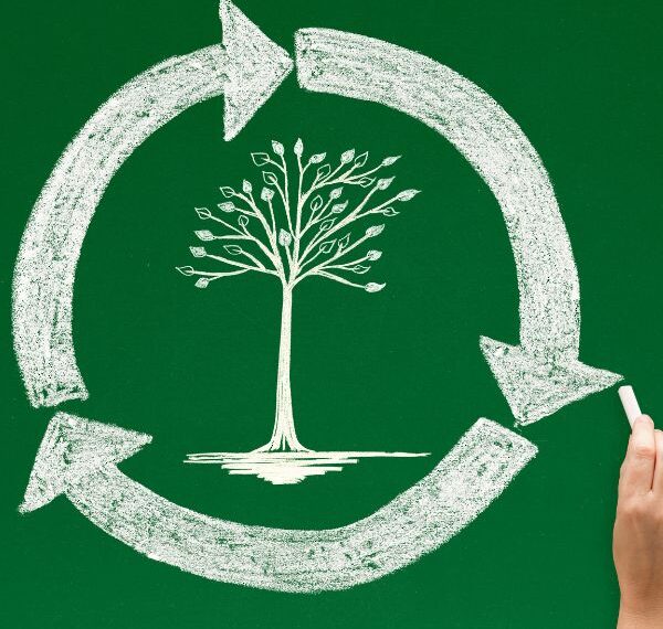 Analyse de Cycle de Vie impact environnemental