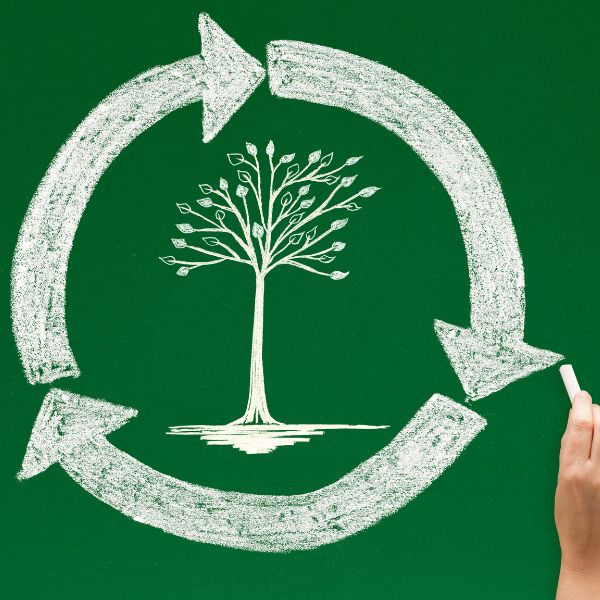 Analyse de Cycle de Vie impact environnemental
