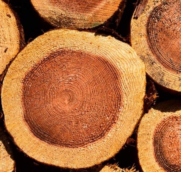bilan de masse chaîne de contrôle