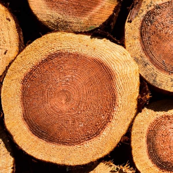 bilan de masse chaîne de contrôle