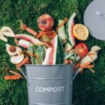 matière biodégradable définition
