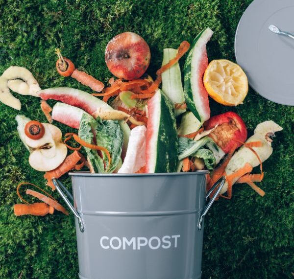 matière biodégradable définition