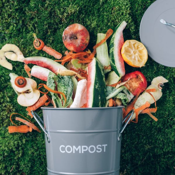 matière biodégradable définition
