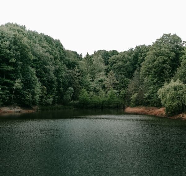 caractéristique environnementale définition